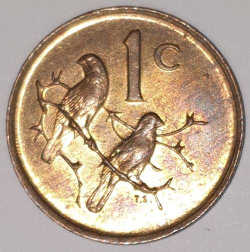1981 - 1 CENT COIN (ONE CENT COIN) - RSA - BRONZE - KM#82 - BILINGUAL LEGEND - SPARROWS